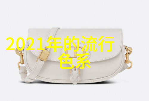 周迅高圣远蜜月归来现身机场背的是什么包