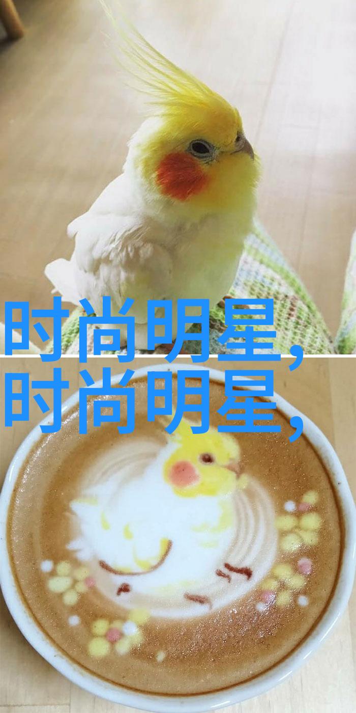 粉色半身长裙怎么搭配